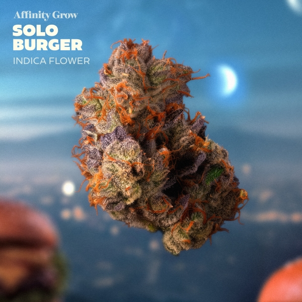 Solo Burger Flower (3.5g)