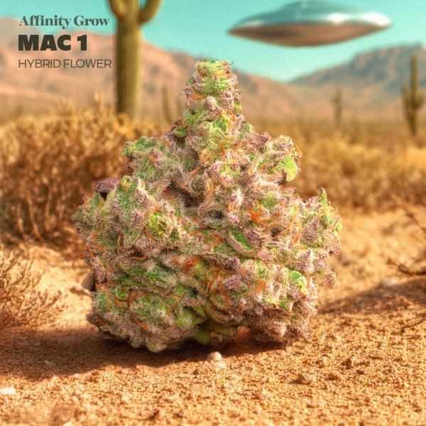 Mac 1 Flower (3.5g)