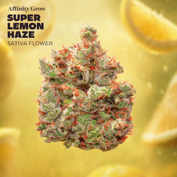 Super Lemon Haze Flower (3.5g)