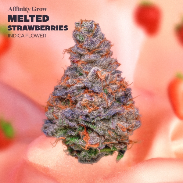 Melted Strawberries Flower (3.5g)