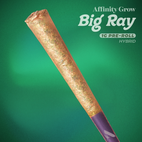 Modified O Big Ray Pre-Roll (1g)