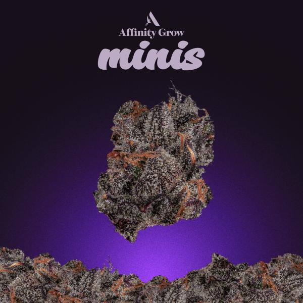 Tear Gas Flower Minis (3.5g)