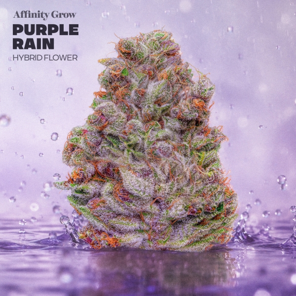 Purple Rain Flower (3.5g)