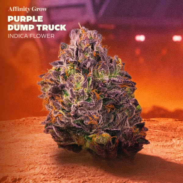Purple Dump Truck Flower (3.5g)