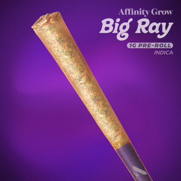 Tear Gas Big Ray Pre-Roll (1g)
