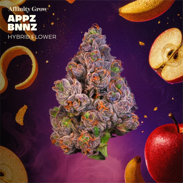 Appz Bnnz Flower (3.5g)